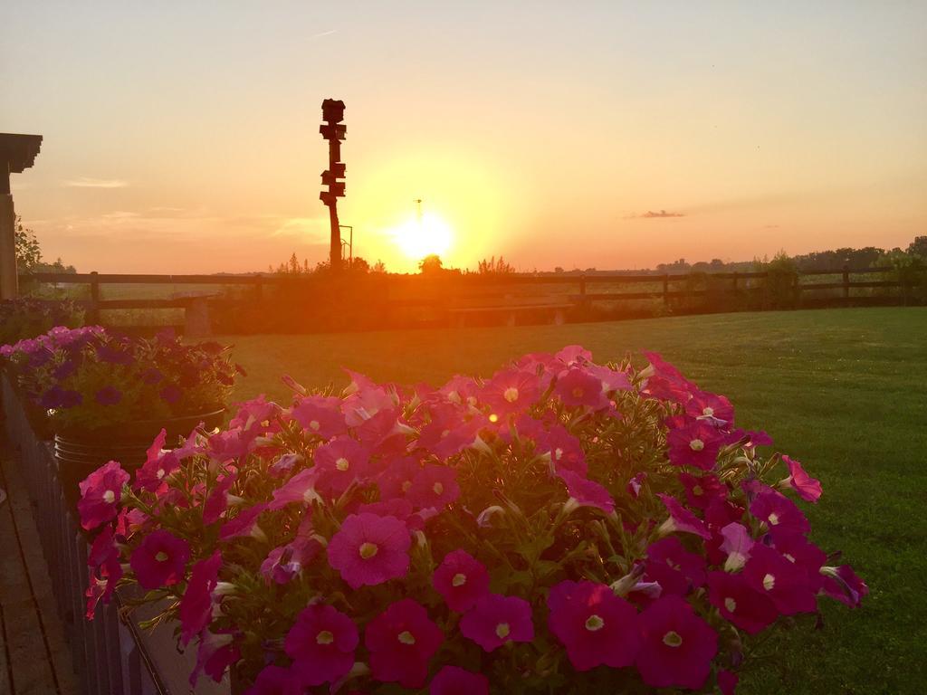 Serenity Ranch Bed & Breakfast Ancaster Dış mekan fotoğraf