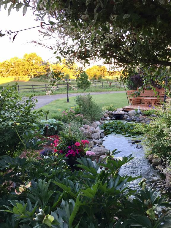 Serenity Ranch Bed & Breakfast Ancaster Dış mekan fotoğraf