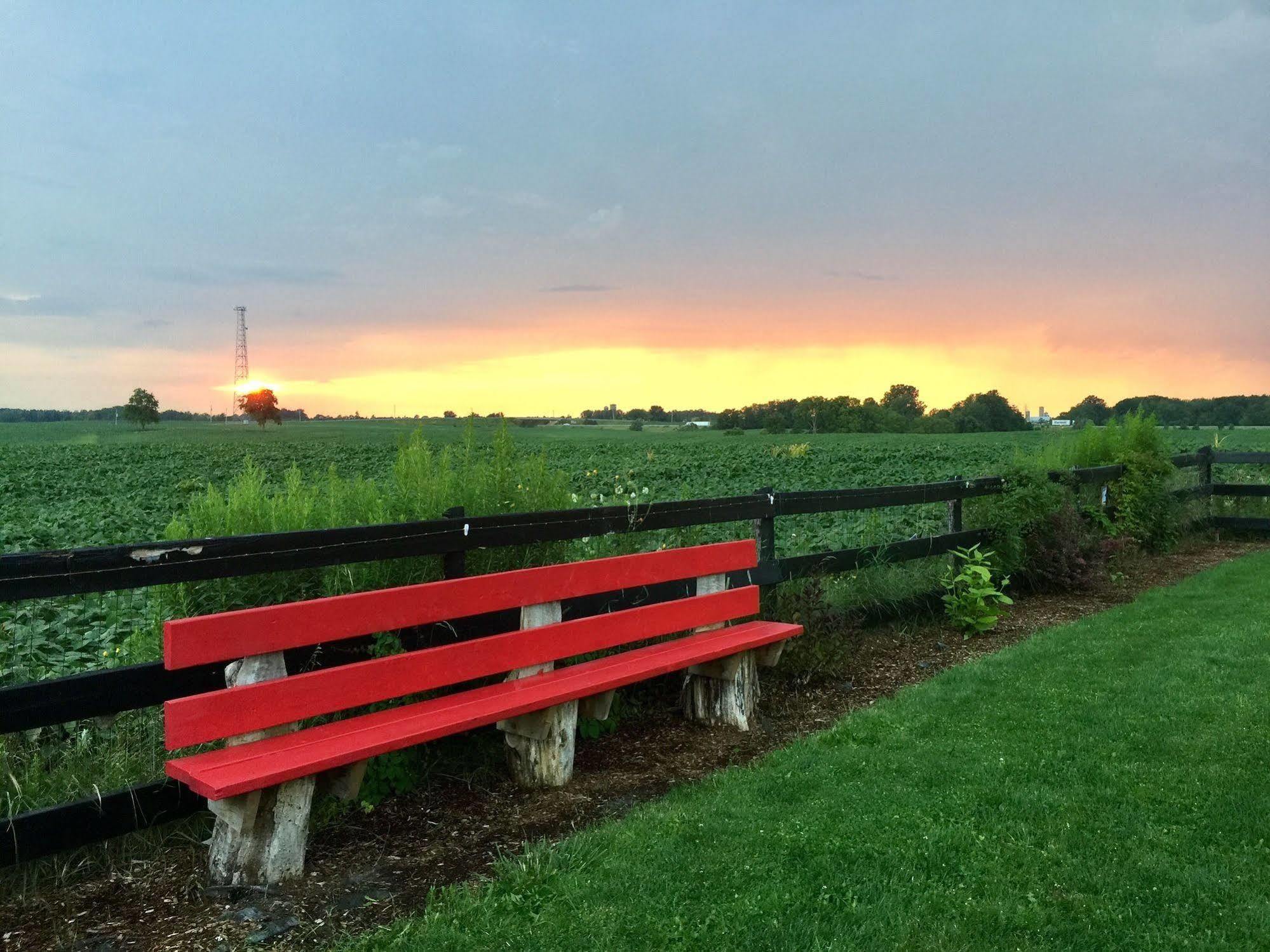 Serenity Ranch Bed & Breakfast Ancaster Dış mekan fotoğraf